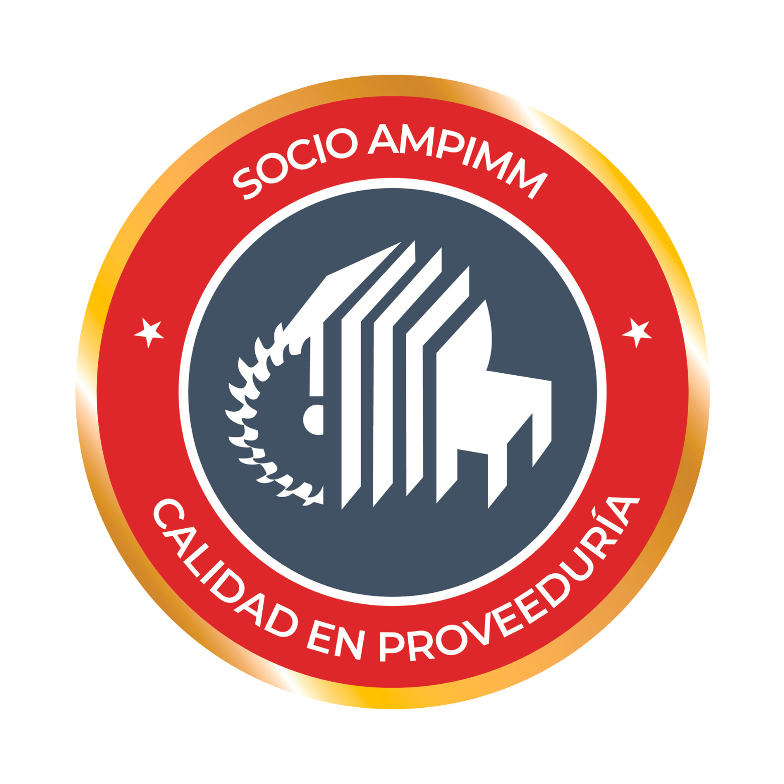 Logo_SociosAMPIMM